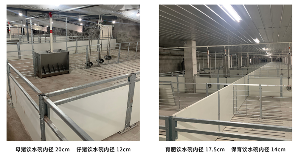 猪用饮水碗,青岛泽宇 猪用饮水碗,青岛泽宇
